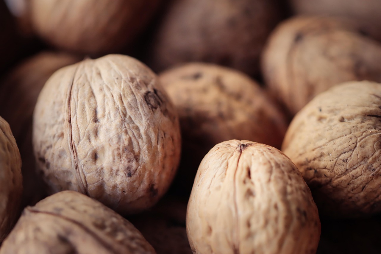 看韩国漫画的app详情下载教程