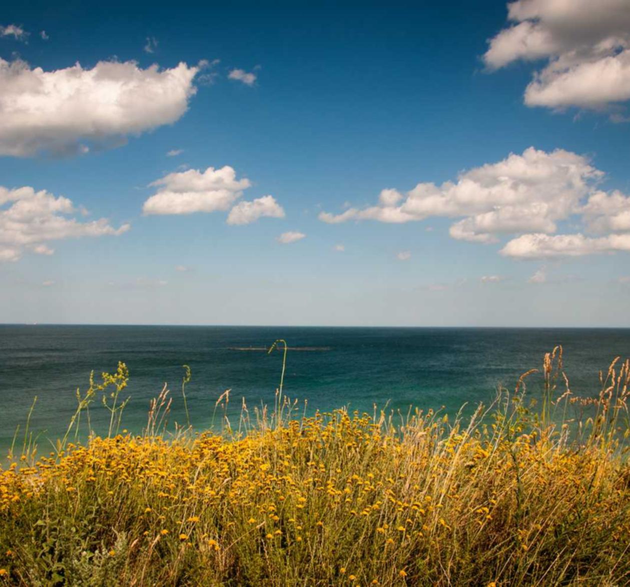 匿名号码卡批发：衡水校内课堂平台代理机构