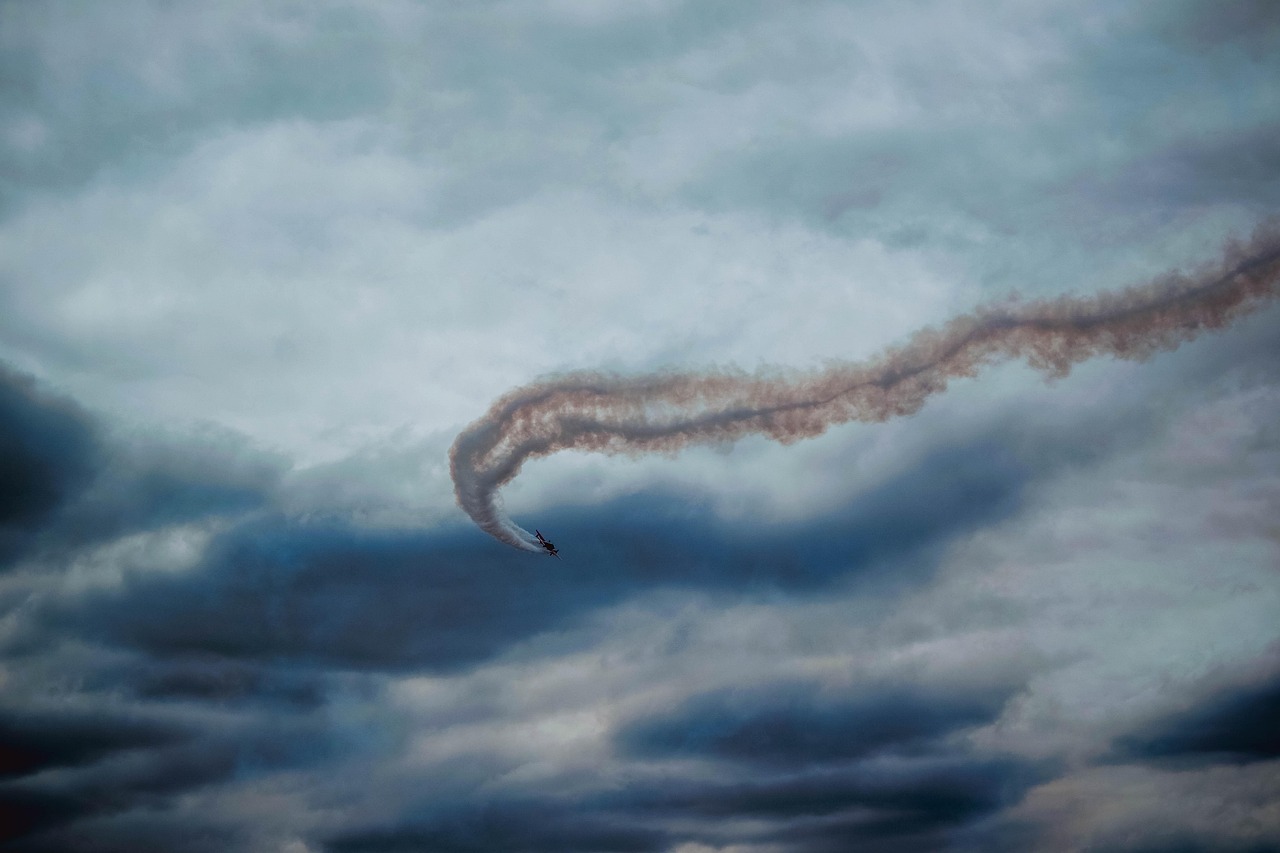 兔子ip实名账号:葡萄浏览器app详情下载教程