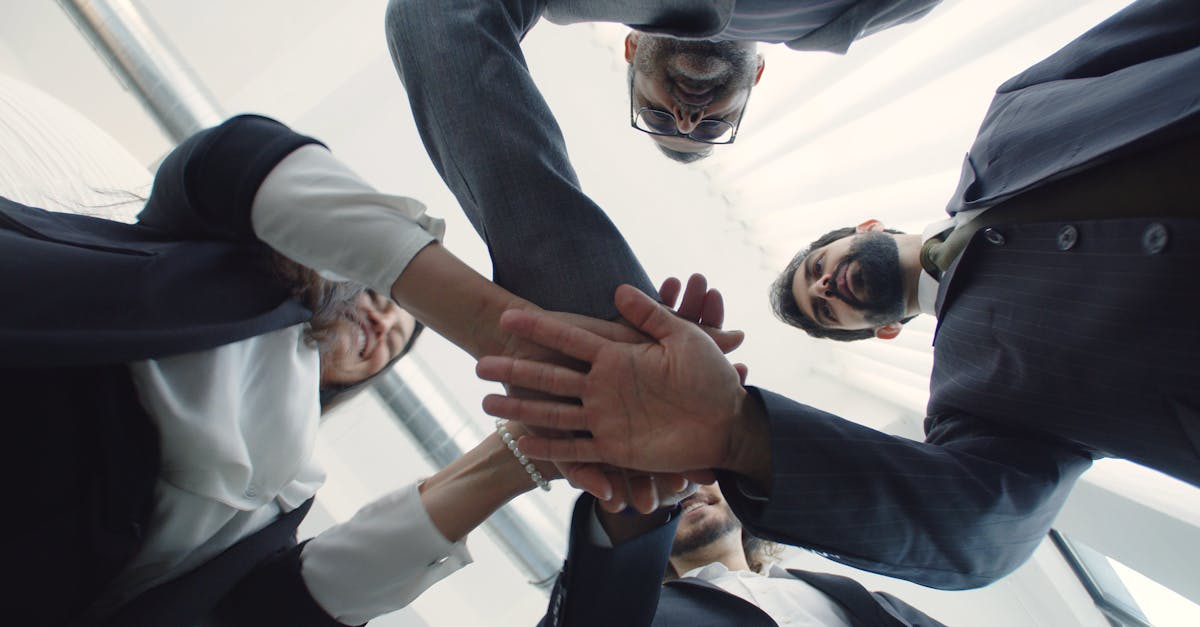 铁塔猫苏打爆珠（粗）：外汇平台开户合同