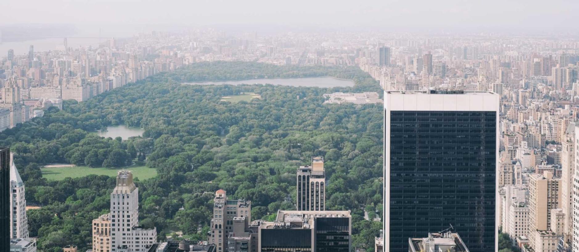 世纪佳缘实名账号：豆豆视频详情下载教程_详情下载教程app