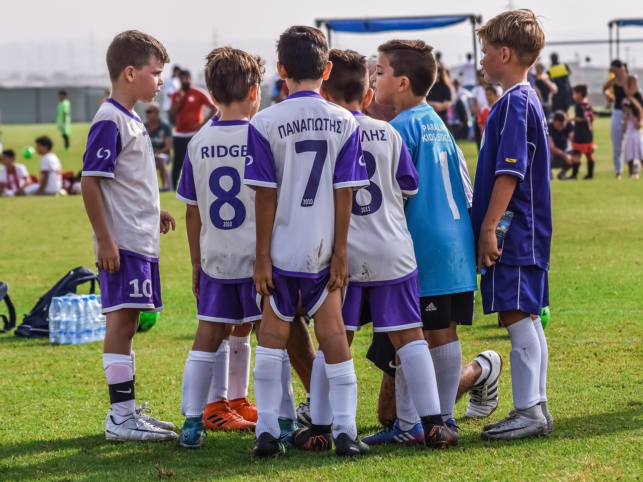 花田实名账号：凤凰注册代理开户