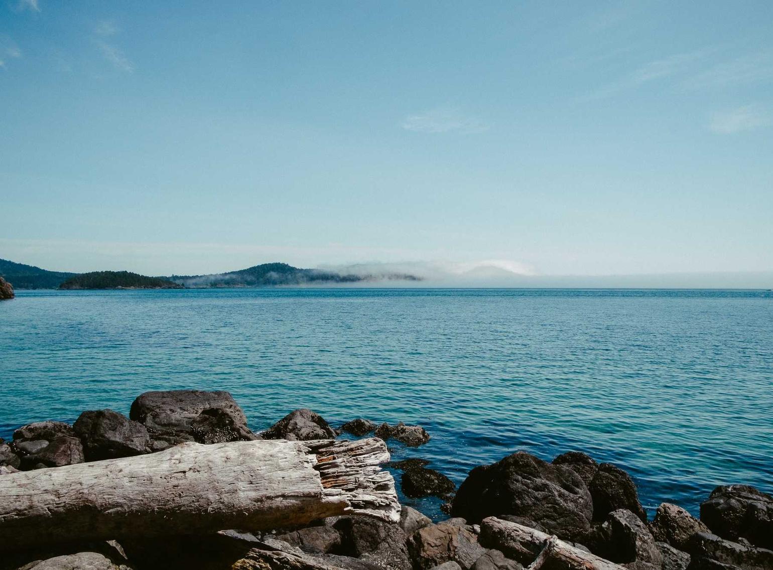 阿里山中支大华黄金眼爆珠：柠檬视频直播app详情下载教程